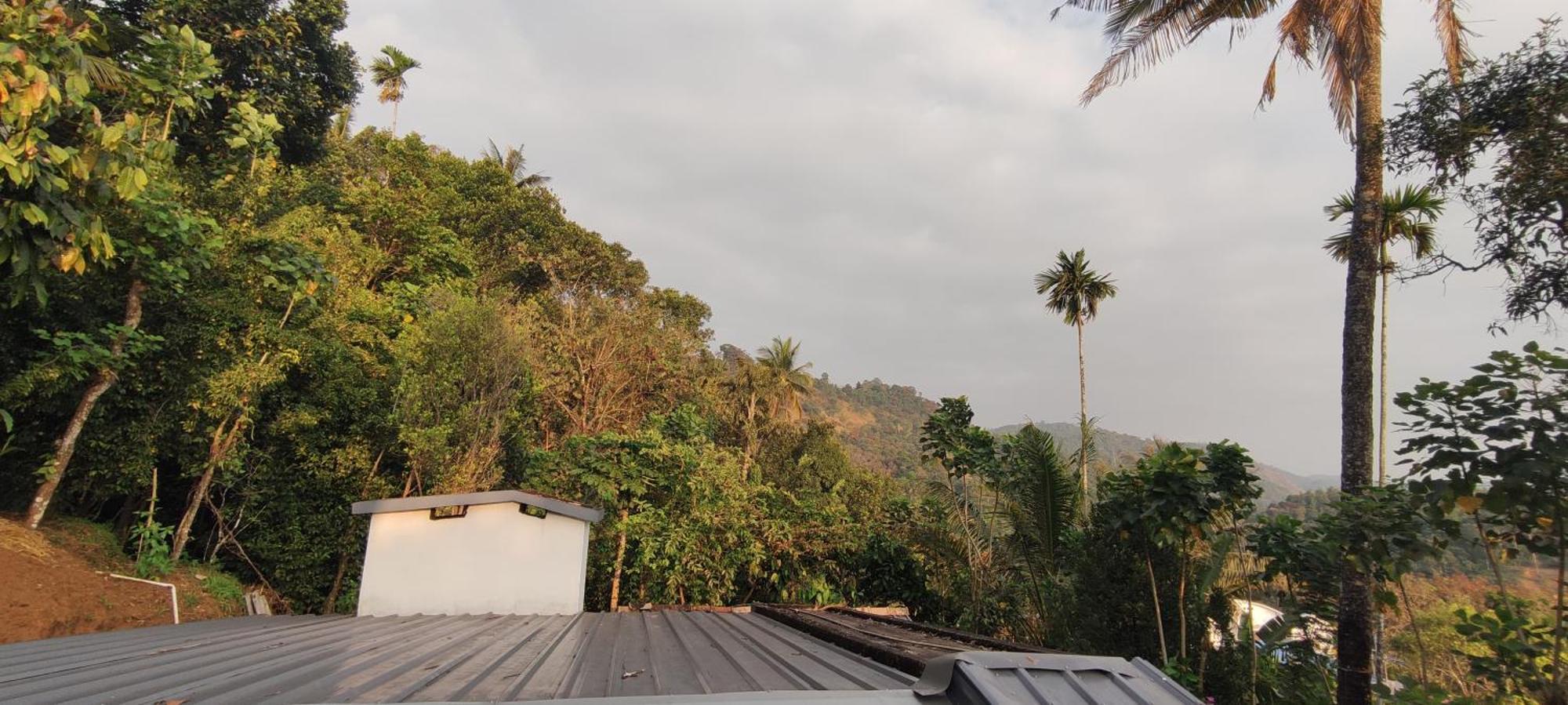 Koonamparayil Home Stay Munnar Anaviratty-Family Only Exteriör bild