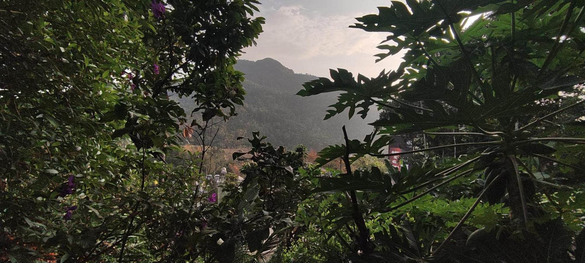 Koonamparayil Home Stay Munnar Anaviratty-Family Only Exteriör bild