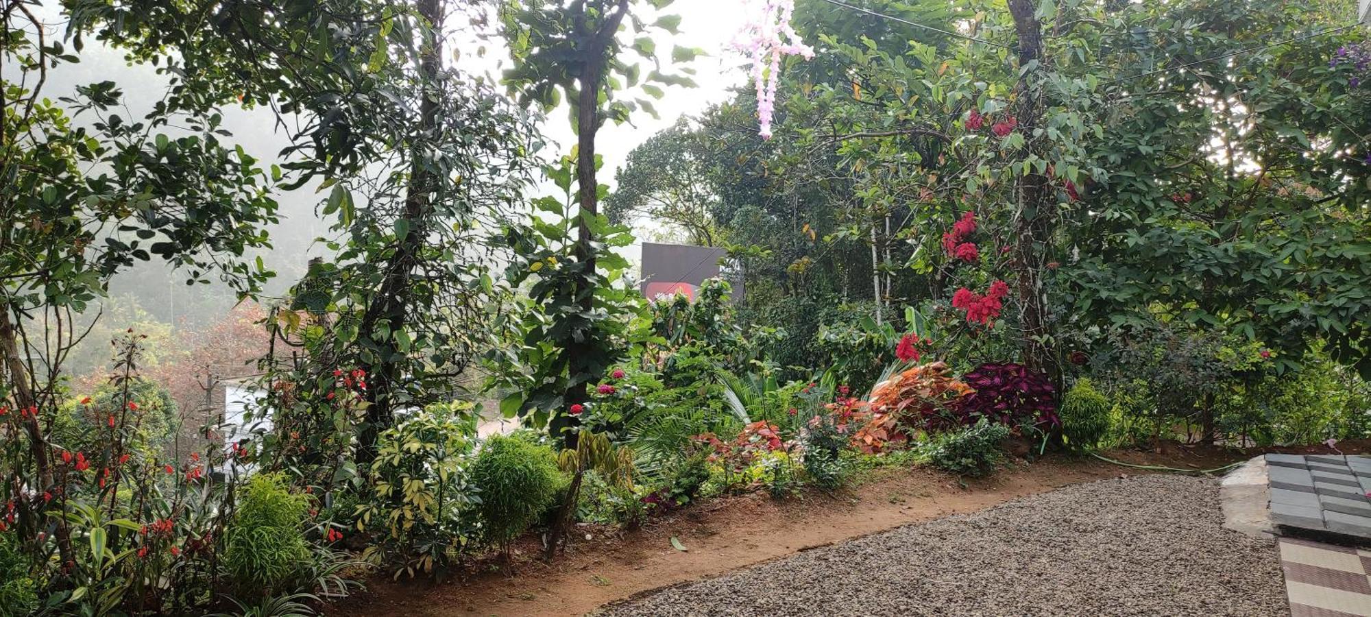 Koonamparayil Home Stay Munnar Anaviratty-Family Only Exteriör bild