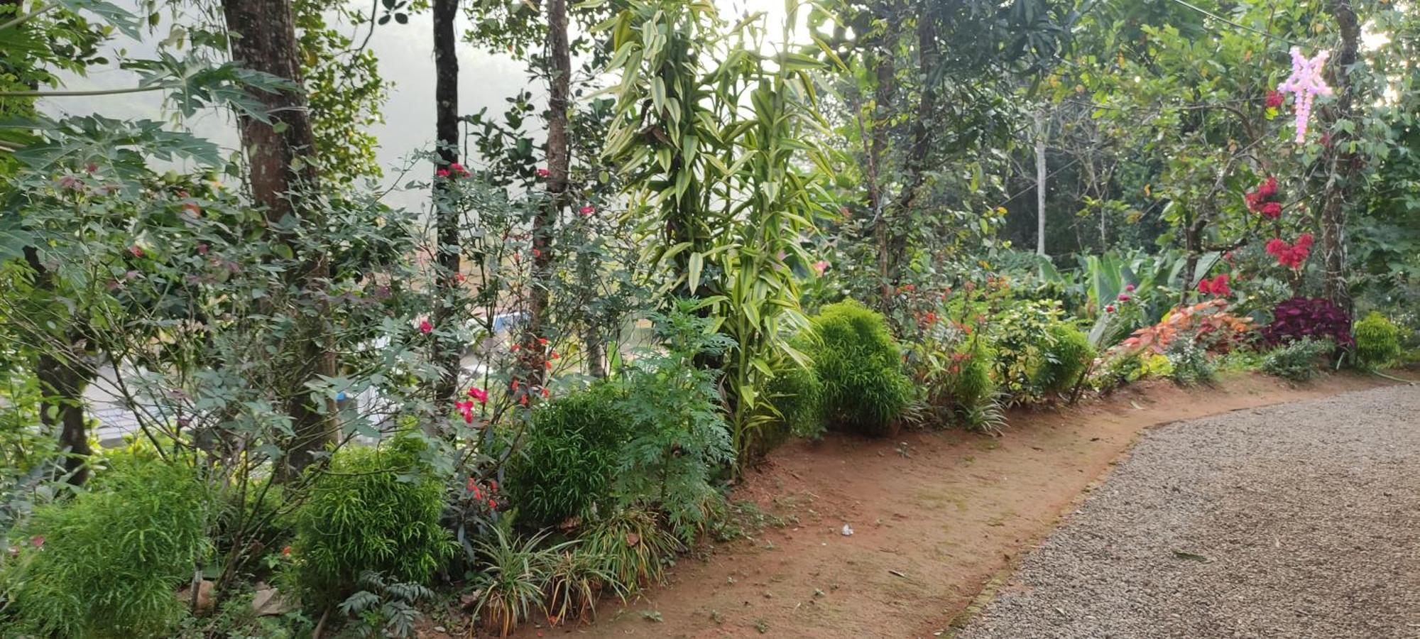 Koonamparayil Home Stay Munnar Anaviratty-Family Only Exteriör bild