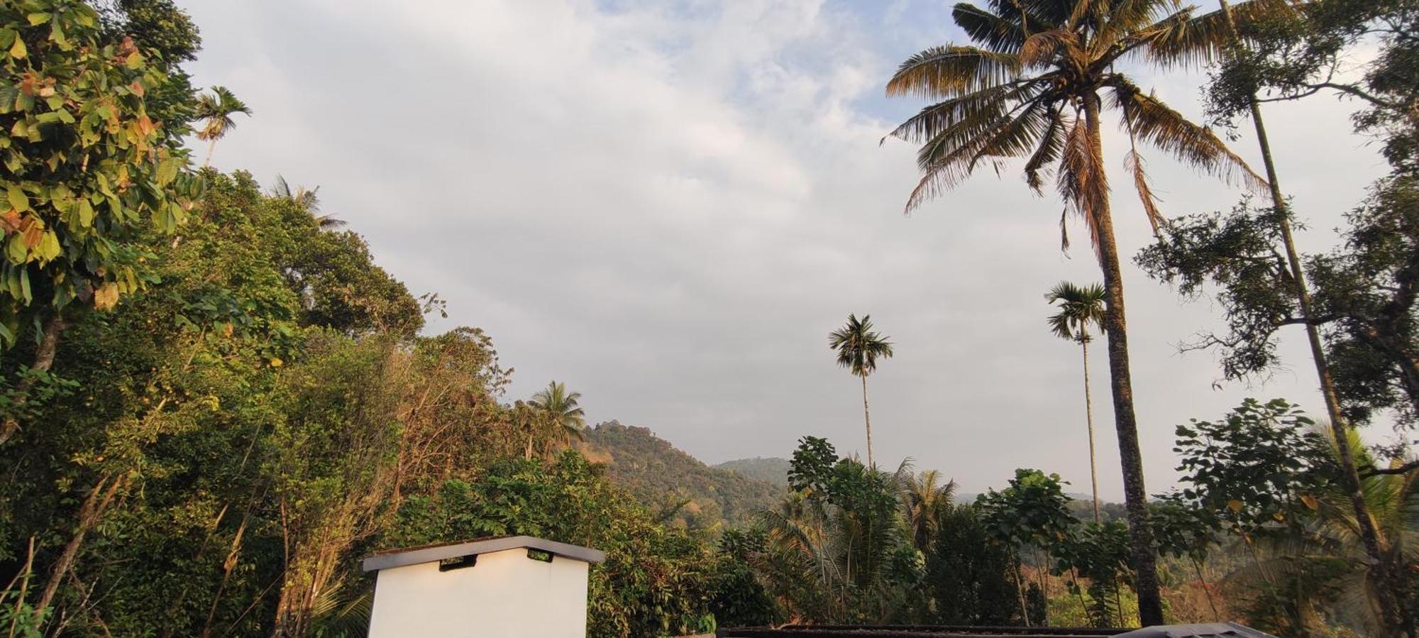 Koonamparayil Home Stay Munnar Anaviratty-Family Only Exteriör bild