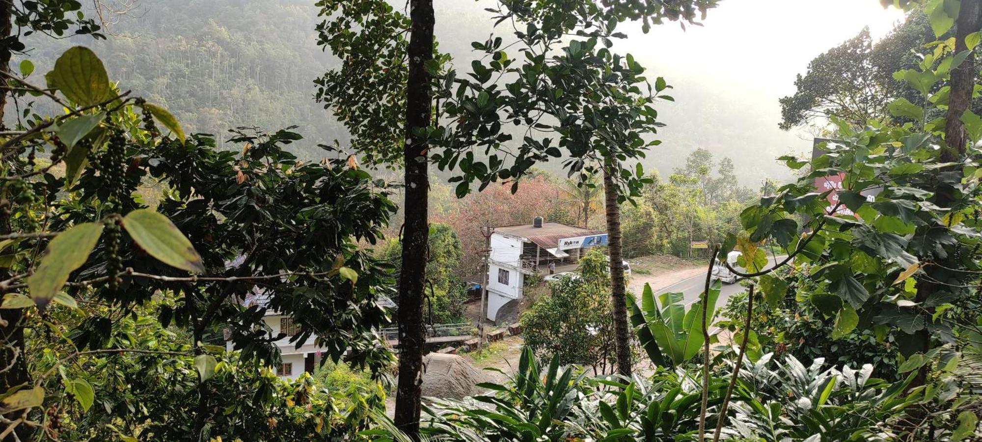 Koonamparayil Home Stay Munnar Anaviratty-Family Only Exteriör bild